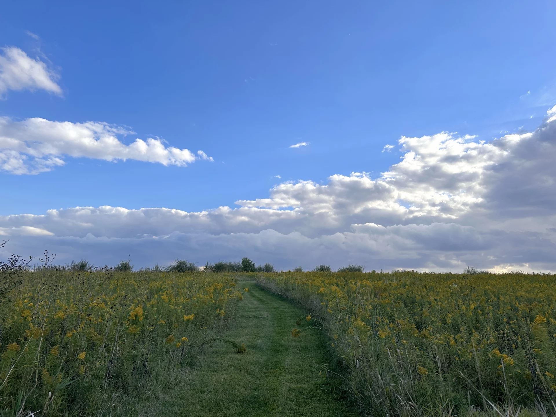 Prairie Path (1)