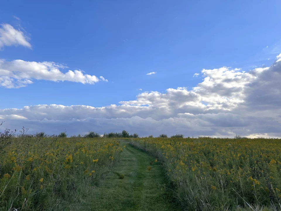 Prairie Path (1)